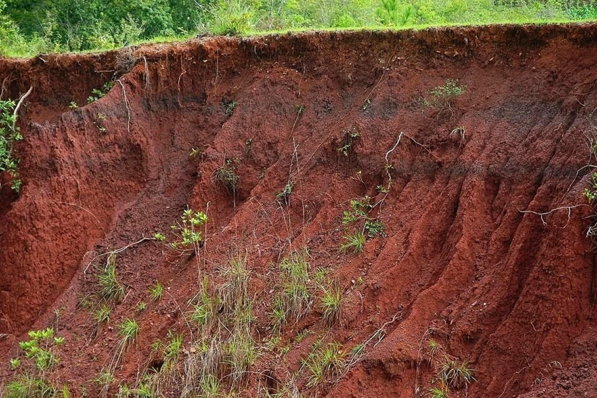 13 Daftar Daerah yang Terkena Gempa Megathrust Menurut BMKG di Indonesia 