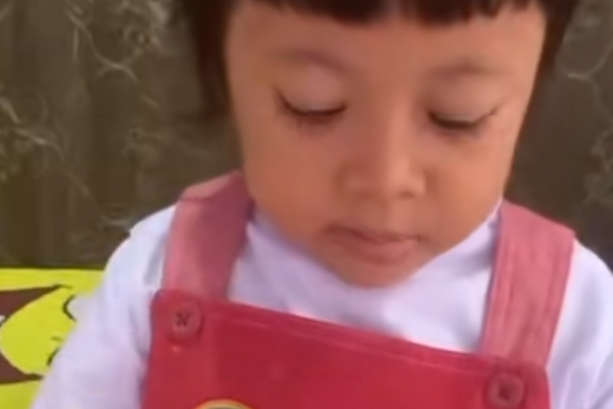 Berapa Umur Zehan Almira? Anak Kecil yang Viral Usai Lancar Berbicara Bahasa Sunda, Benarkah Terkena Penyakit Serius?