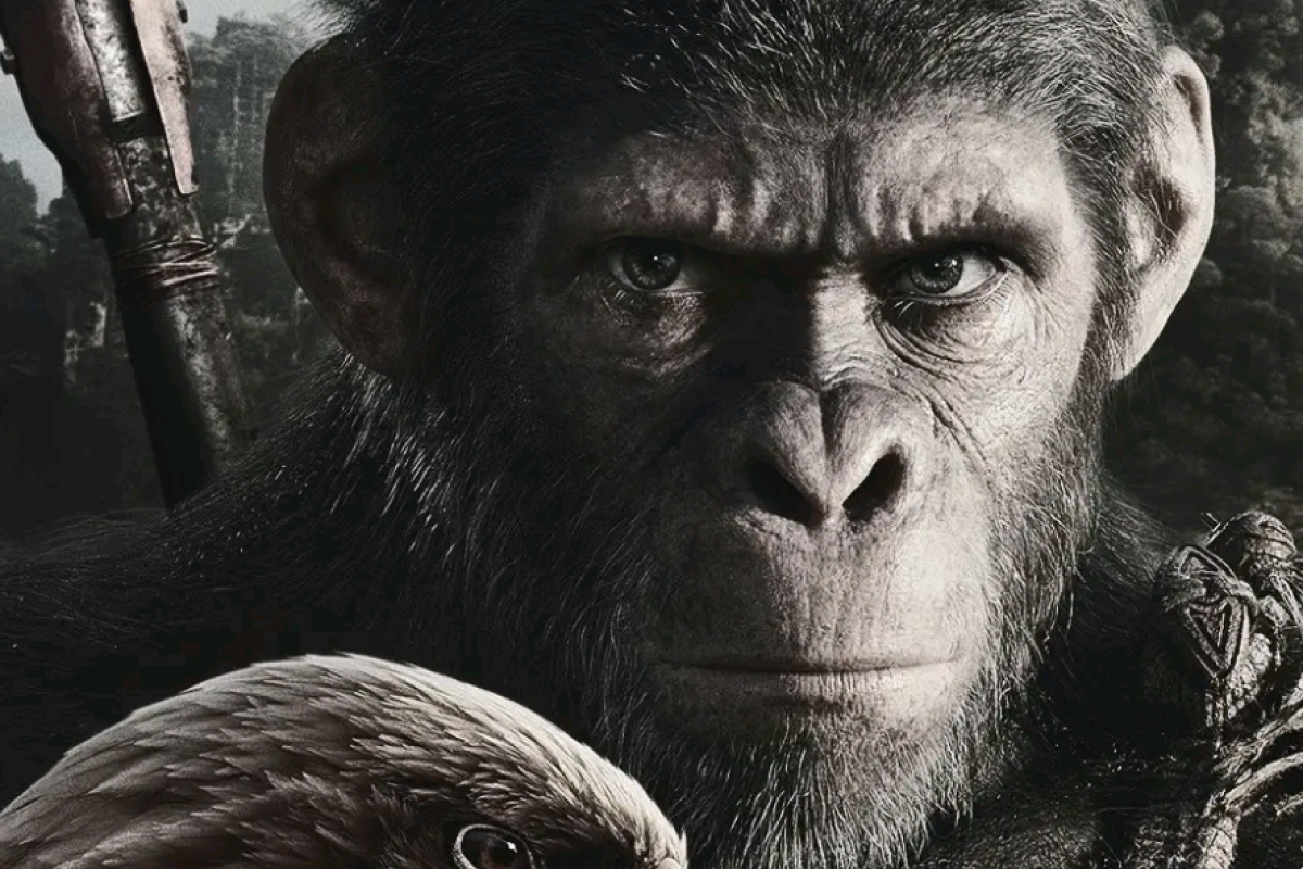 Nonton Download Film Kingdom of the of the Apes (2024) Sub Indo