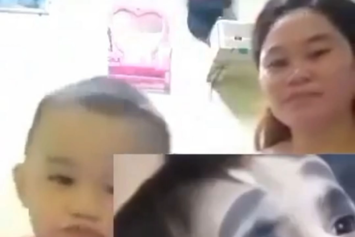 VIDEO Syur Ibu Anak dan Bule di Toko Kopi 8 No Sensor di Mediafire, Kini jadi Buruan Natizen TikToker Galih Minta Natizen Bongkar Biodatanya