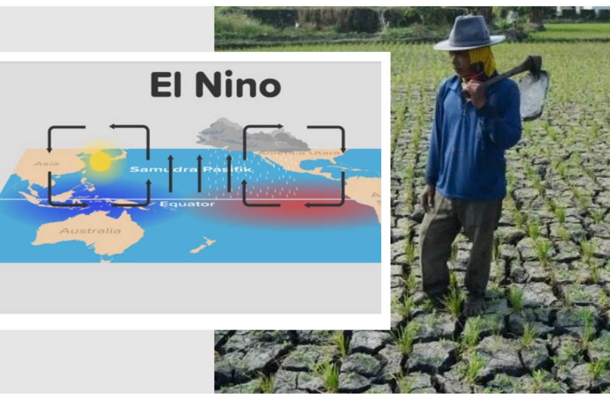 Dampak Serius Fenomena El Nino! Sebesar 63 Persen Wilayah Indonesia ...