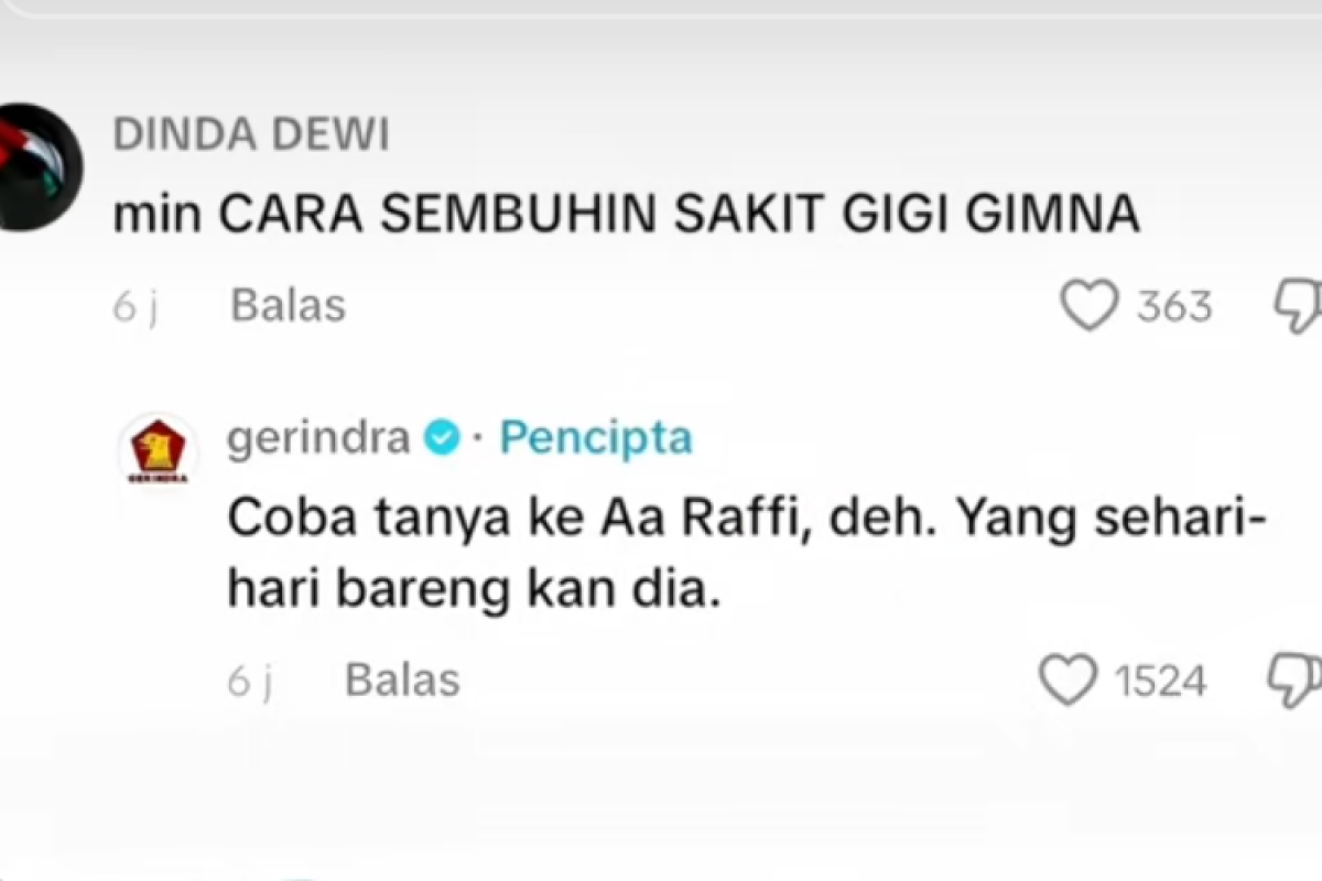 Admin TikTok Gerindra Sukses Bikin Natizen Tertawa Terbahak-Bahak Balesi Komenan Unik Warganet