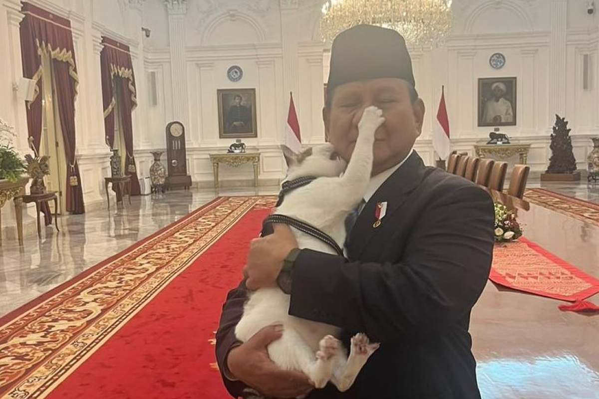 GEMAS! Bobby Kartanegara Cakar dan Gigit Hidung Presiden Prabowo Subianto, Natizen: Mayor Teddy dan Paspampres Kecolongan 