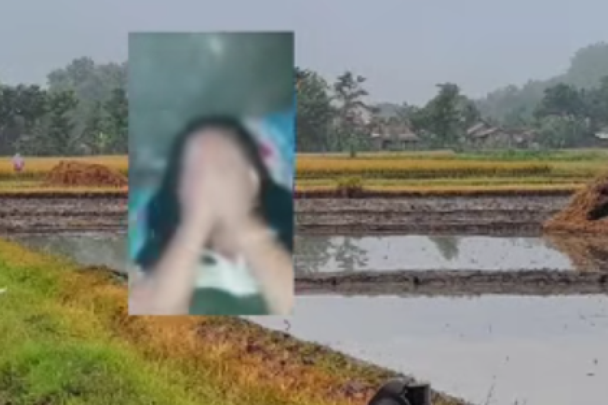 Saskia Gisting Siapa? Inilah Biodata Sosok yang Viral Usai Video Syur 20 Menitnya Tersebar, Benarkah Pemeran Pria Masih Satu Darah?