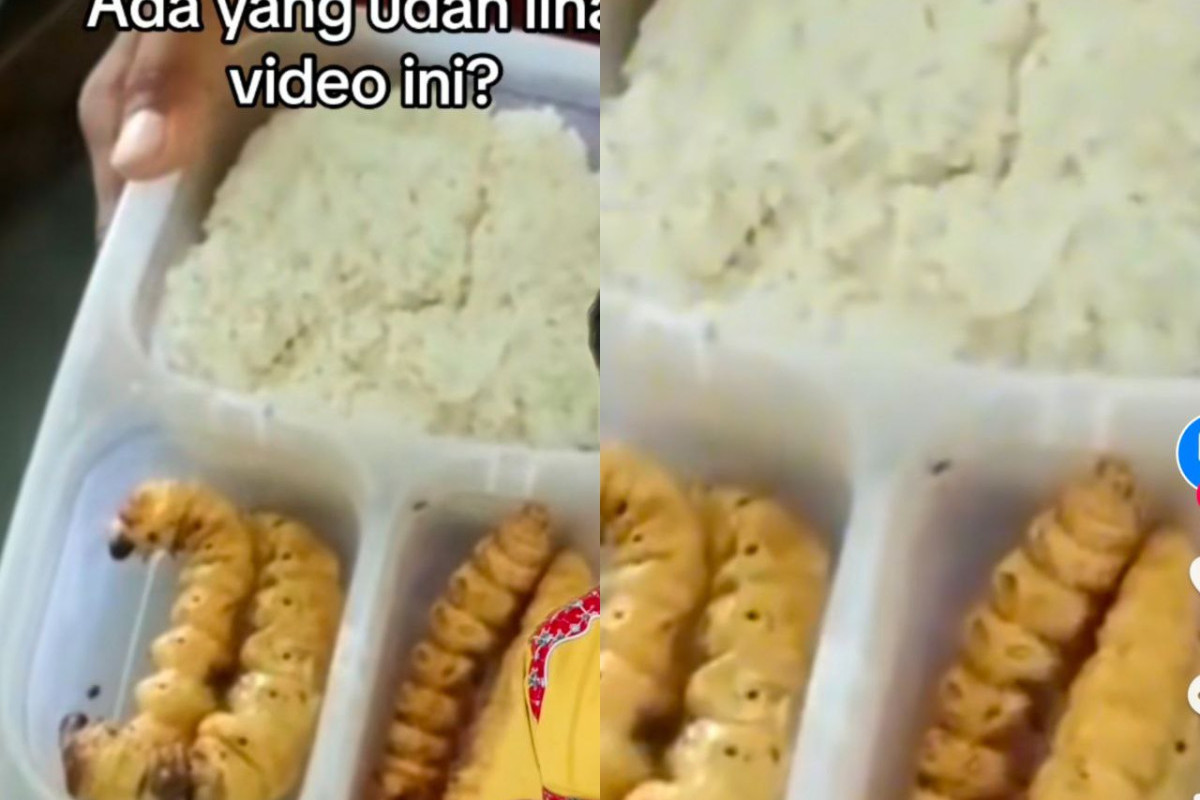 Viral Video Guru Sd Ejek Siswa Yang Bawa Bekal Ulat Sagu Ke Sekolah Netizen Kayak Gini Kok 7169