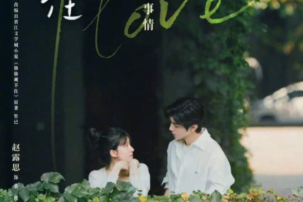 Sinopsis Drama China TERBARU Hidden Love (2023), Segera Tayang di Youku ...