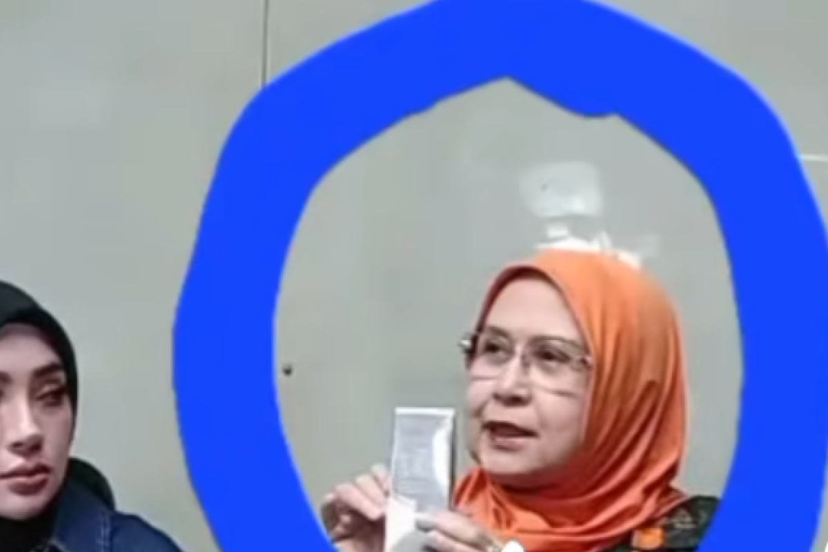 Elza Syarief Punya Masalah Apa dengan UMKM? Inilah Biodata Musuh Bebuyutan Nikita Mirzani yang jadi Pengacara Shella Saukia