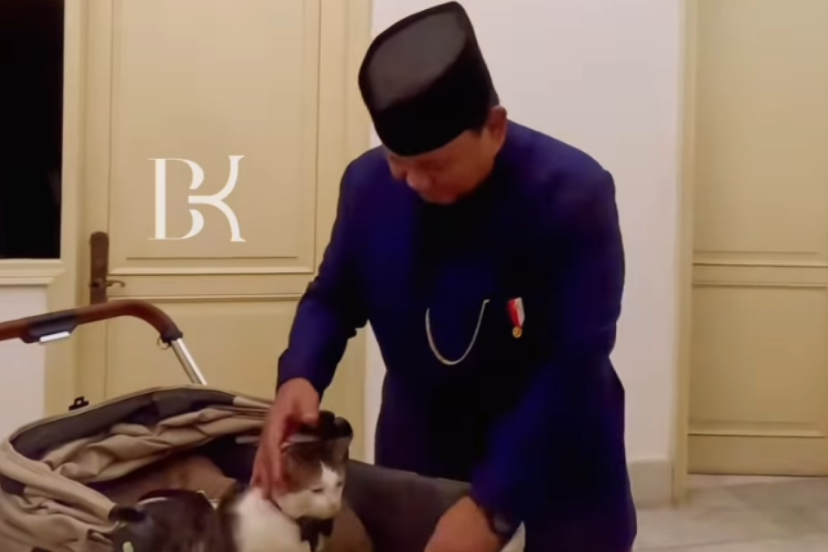 Profil Bobby Kartanegara, Kucing Kesayangan Prabowo Subianto yang Ikut Diboyong Masuk ke Istana Negara, Lengkap dari Umur Hingga Akun Instagram