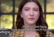 Cinta Berakhir Bahagia Hari ini 29 November 2024 Tayang Kembali di RCTI: Hana dan Pasha Ingin Melakukan Pertunangan