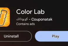 Bagaimana Cara Main Color Lab? Apk Penghasil Uang yang Bisa Hasilkan Banyak Fulus Begini Langkah Bermainnya Agar Bisa Wd 800Rb 