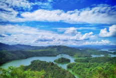 Kota Baubau Lepas dari Sulawesi Tenggara Pilih Ikut Kendari Gabung dengan Provinsi Kepton, Makin Ancur Isu Pemekaran!