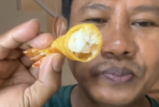 Siapa Istri Mursid? TikToker yang Viral Usai 5 Kali Gagal Bikin Resep Udang Balon, Bukan dari Kalangan Orang Sembarangan