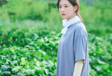 Queen of Tears Episode 7 Sub Indo di Netflix dan TVN Jangan di Bilibili Atau LK21: Usai Bercerai Hae In Mala Makin Jatuh Cinta dengan Hyun Woo saat Tinggal di Kampung