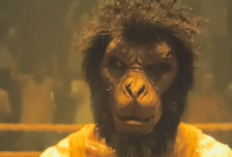 Penjelasan Ending Monkey Man (2024) 'John Wick' Versi India Yang Dibintangi dan Disutradari oleh Dev Patel Dapat 2 Menit Standing Ovation Dalam Pemutaran Perdananya