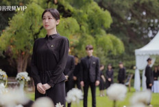 Download Nonton Drama Best Choice Ever (2024) Episode 13 Sub Indo Full HD dan Spoiler di WeTV, Detik Perpisahan Cheng Huan dan Xin Jia Liang Jadi Kesempatan Zhiming PDKT