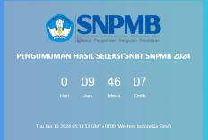 Lengkap Pengumuman SNBT 2024, LINK Cara Lihat Skor Nilai UTBK Serta Sertifikat UTBK 2024