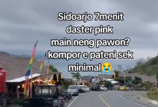 VIRAL Video Daster Pink Sidoarjo Durasi 7 Menit di TikTok Kini Jadi Incarana Natizen, Berikut Biodata Asli Pemeran Wanitanya!