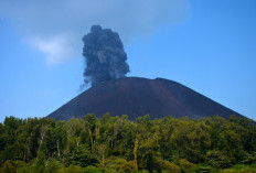 Eksplorasi Desa Wisata Viral di Lumajang: Ranubedali, Gunung Wayang, dan Negeri di Atas Awan yang Memikat Hati