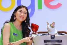 Siapa Bobby Kertanegara? Kucing Kesayangan Presiden Prabowo Subianto yang Berhasil Raih Penghargaan dari Google Indonesia