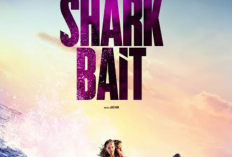 Jadwal Program TRANS TV Hari ini 20 September 2024: Bioskop Trans TV Shark Bait dan To Kill With Intrigue, Brownies, Insert dan Pagi-Pagi Ambyar Serta Link Streamingnya  