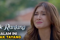 Naik Ranjang Episode 10 Hari ini 13 Juni 2024 di SCTV: Innalillahi, Hani Mengalami Kecelakaan Saat Sedang Bersama Selingkuhannya 