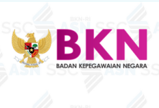 Cara Daftar dan Masuk Serta Buat Akun SSCASN CPNS 2024, Terliti Jangan Ada yang Terlewat