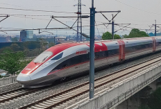 UPDATE Jadwal Kereta Cepat Whoosh Agustus 2024 & KA Feeder Hari Ini