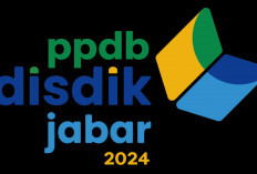 Sempat Down, Website PPDB Sudah Normal Lagi, Calon Peserta Didik Baru Bisa Daftar Lagi