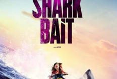 Sinopsis Shark Bait Bioskop Trans TV Hari ini 8 Desember 2024 Dibintangi Catherine Hannay: Liburan di Mexico yang Berakhir dengan Teror Hiu Ganas