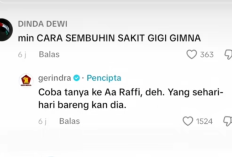 Admin TikTok Gerindra Sukses Bikin Natizen Tertawa Terbahak-Bahak Balesi Komenan Unik Warganet