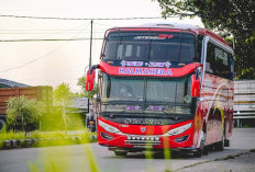 Ternyata Ini Kronologi Bus Lindas Bocah Pemburu Telolet di Cilegon