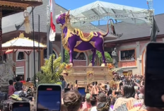 Siapa Istri dan Anak Tjokorda Bagus Santaka, Tokoh Keturunan Raja Ubud yang Meninggal Dunia Prosesi Pelabonnya Jadi Hiburan Bagi Wisatawan 