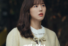 Sinopsis Frankly Speaking Full Episode Awal Hingga Akhir Sub Indo Jangan di Bilibili Tapi di Netflix atau TVING, Dibintangi Go Kyung Pyo dan Kang Han Na