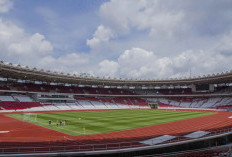 Ternyata Ini Penyebab Rumput Stadion GBK Kurang Bagus dan Dikritik Pemain Jepang