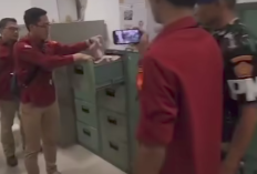 5 Fakta Video Tumpukan Uang di Ruang Staf Khsusu Kominfo, Kejagung Beri Bantahan Heledah Kantor Menkominfo Budi Arie