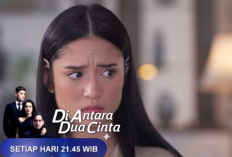 Di Antara Dua Cinta Episode 293 Hari ini 29 Juni 2024 di SCTV: Romy Meminta Wulan Tingga Bersama dengan Dania di Rumahnya