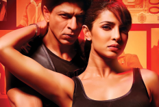 Sinopsis Don 2  Film Shah Rukh Khan di Mega Bollywood Paling Yahud Hari ini 13 Januari 2025