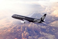 Lebarkan Sayap! Air New Zealand Layani Penerbangan Sepanjang Tahun dari Bali Langsung ke Auckland, Selandia Baru