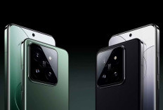 Harga dan Spesifikasi Xiaomi 14, Smartphone Flagship dengan Kamera Leica 50MP