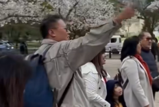 Video Turis Indonesia Rusak Bunga Sakura di Jepang Viral, Ternyata Sosoknya Bukan dari Kalangan Orang Kaleng-Kaleng