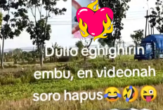 NO SENSOR! Video Asusila Dullo Sampang 15 Menit di Videy, Kini Diburu Natizen Usai Viral di TikTok, Ada Apa Sebenarnya?