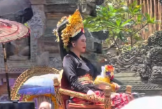 Apa Penyebab Tjokorda Bagus Santaka Meninggal Dunia? Berikut Profil Biodata Keturunan Raja Ubud yang Prosesi Pemakamannya Dihadiri Banyak Selebriti di Bali