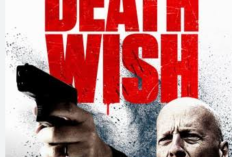 Sinopsis Death Wish Film Bruce Willis di Bioskop Trans TV Hari ini 16 Januari 2025 