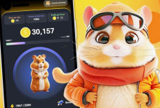 HAMSTER KOMBAT Kapan Listing? Download Airdrop Hamster Kombat Di Mana? Cek Segera Link Download Hamster Kompat Game Penghasil Uang