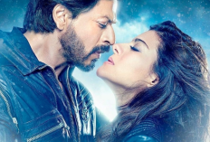 Sinopsis Dilwale Film Shah Rukh Khan di Mega Bollywood Paling Yahud Hari ini 2 Januari 2025 Heropanti 2