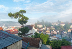 3 Wisata Memukau di Kabupaten Lumajang, Jelajahi Pesona Desa Wisata di Jatim yang Eksotis dan Penuh Dengan Keramahan Warganya 