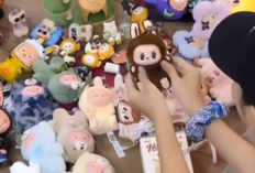 Profil Tampang Wang Ning Pendiri Pop Mart Sekaligus Sosok Dibalik Viralnya Boneka Labubu, Lengkap dari Umur, Agama dan Akun Instagram