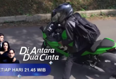 Di Antara Dua Cinta Episode 277 Hari ini 14 Juni 2024 di SCTV: Yuda Kembali Menghajar Julian Karena Menikah dengan Shafira 