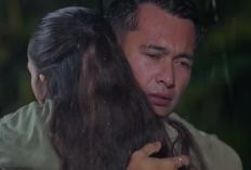 Naik Ranjang Episode 94 Hari ini 25 Agustus 2024 di SCTV: Zidan dan Gino Terlibat Baku Hantam Demi Melindungi Hani