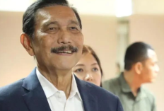 Berapa Gaji Dewan Ekonomi Nasional? yang Kini Dijabat oleh Luhut Binsar Pandjaitan? Benarkah Setara dengan Menteri Keuangan?